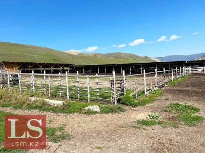 Новую лизинговую программу для фермеров предложили запустить в Казахстане