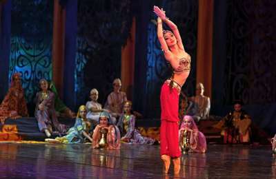 Балет &laquo;Бахчисарайский фонтан&raquo;, Garage sale и книгообмен