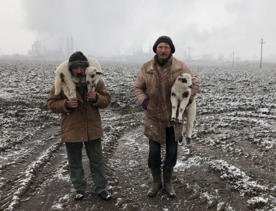 Опубликованы лучшие фотографии с iPhone Photography Awards