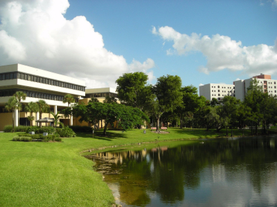 Я училась во Florida International University